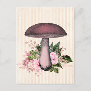 Vintage Mushroom and Floral Compilation  Postcard