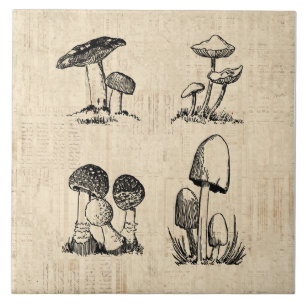 Vintage Mushroom Art Illustration Ceramic Tile