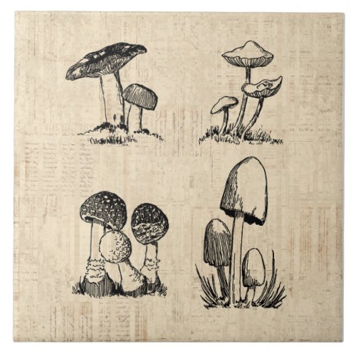 Vintage Mushroom Art Illustration Ceramic Tile