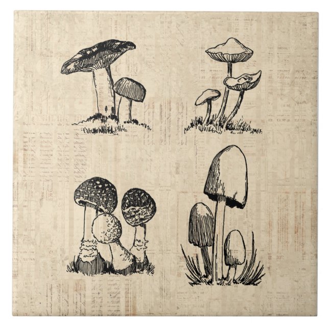Vintage Mushroom Art Illustration Ceramic Tile (Front)