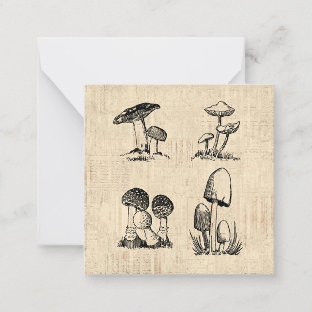Vintage Mushroom Art Illustration Note Card (Front)