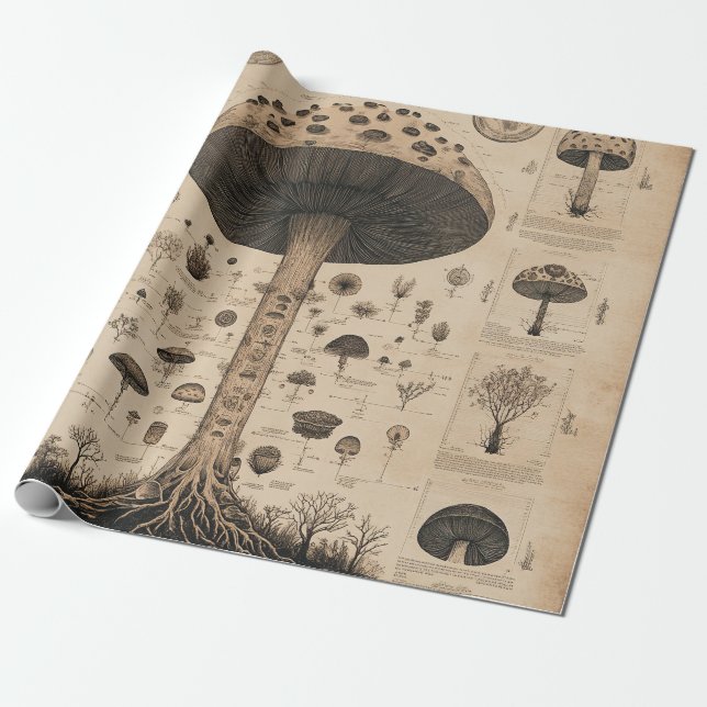 Vintage Mushroom Botanical Chart (10) Wrapping Paper (Unrolled)