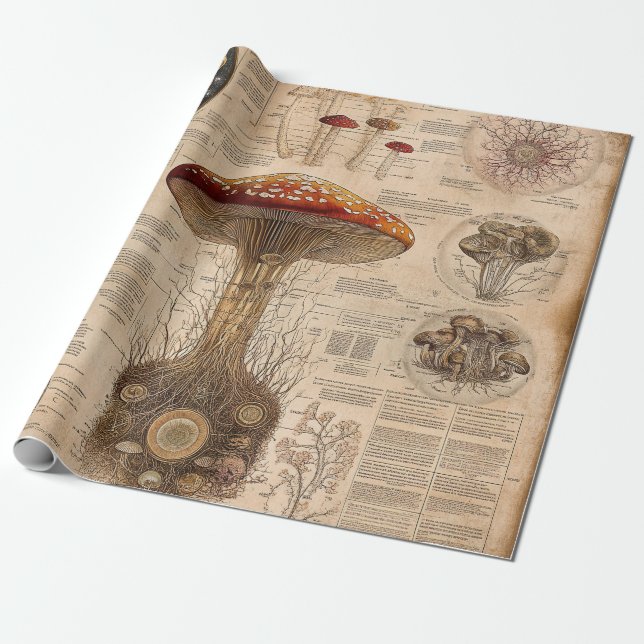 Vintage Mushroom Botanical Chart (2) Wrapping Paper (Unrolled)