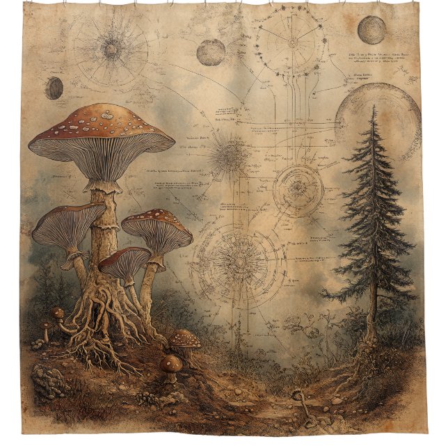 Vintage Mushroom Botanical Chart (3) Shower Curtain (Front)