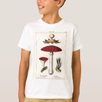 Vintage Mushroom Botanical Print