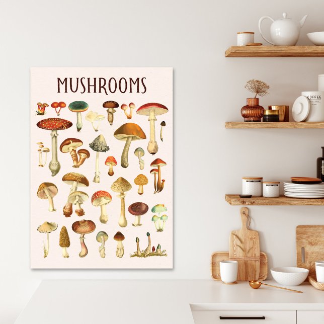 Vintage Mushroom Chart  Canvas Print (In situ kitchen wall)