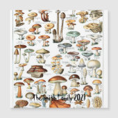 Vintage Mushroom Chart Fungus Art Illustration (Front)