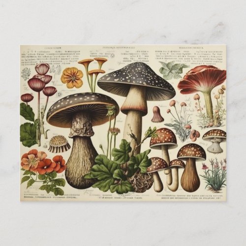 Vintage Mushroom Cottagecore Decoupage Postcard