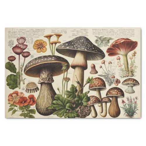 Vintage Mushroom Cottagecore Decoupage Tissue Paper