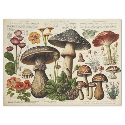 Vintage Mushroom Cottagecore Decoupage Tissue Paper