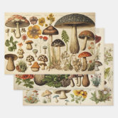 Cute Festive Mushroom and Frog Pattern Christmas Wrapping Paper Sheets