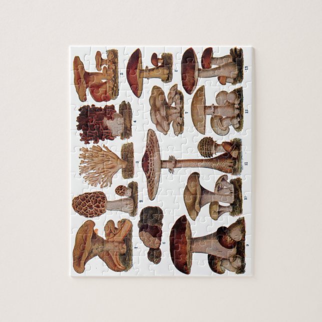 Vintage Mushroom Family Botanical Print Jigsaw Puzzle (Vertical)