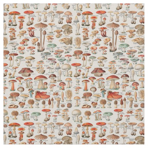 Vintage Mushroom Fungus Illustration I Fabric