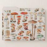 Vintage Mushroom Fungus Illustration I File Folder<br><div class="desc">19th century illustration of various mushrooms and related fungi</div>
