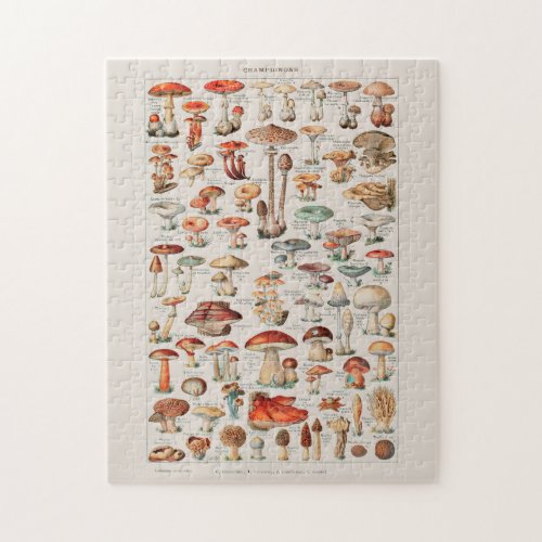 Vintage Mushroom Fungus Illustration I Jigsaw Puzzle