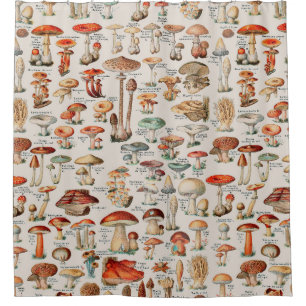 Vintage Mushroom Fungus Illustration I Shower Curtain