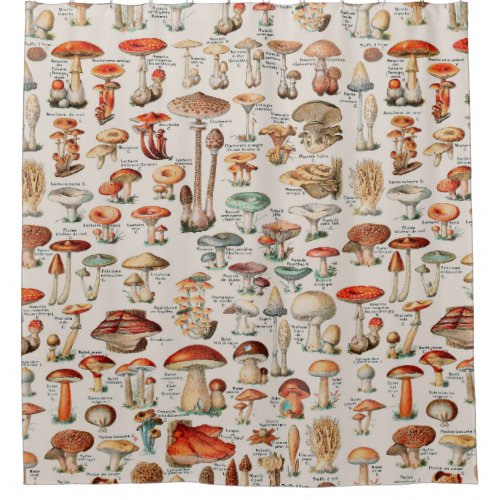 Vintage Mushroom Fungus Illustration I Shower Curtain