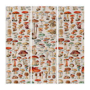 Vintage Mushroom Fungus Illustration I Triptych
