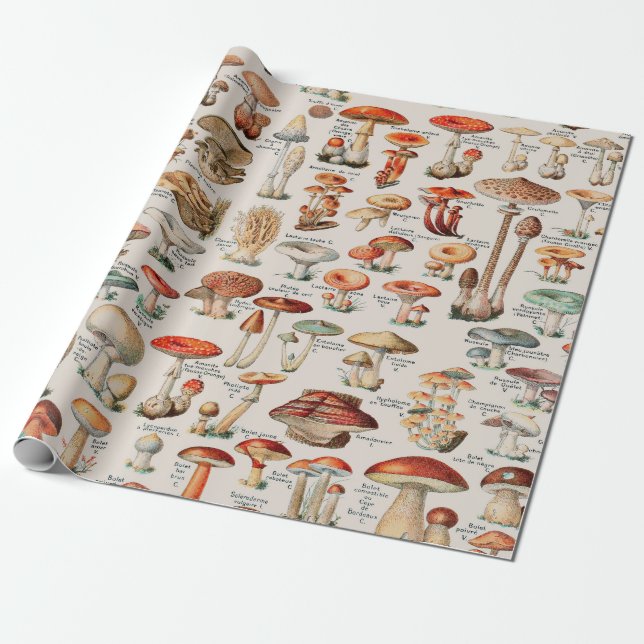 Vintage Mushroom Fungus Illustration I Wrapping Paper (Unrolled)