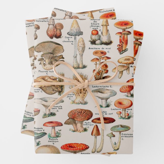 Vintage Mushroom Fungus Illustration I Wrapping Paper Sheets (In situ)
