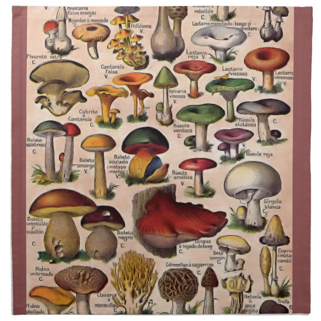 Vintage Mushroom Guide Cloth Napkin (Front)