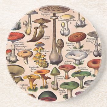 Vintage Mushroom Guide Coaster by Vintage_Gifts at Zazzle