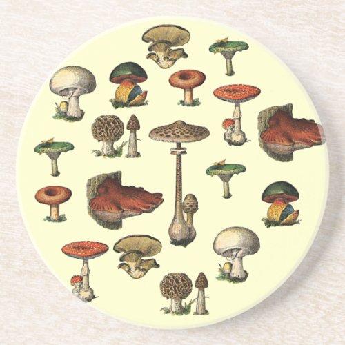 Vintage Mushroom Guide Coaster