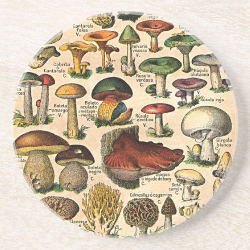 Vintage Mushroom Guide Coaster