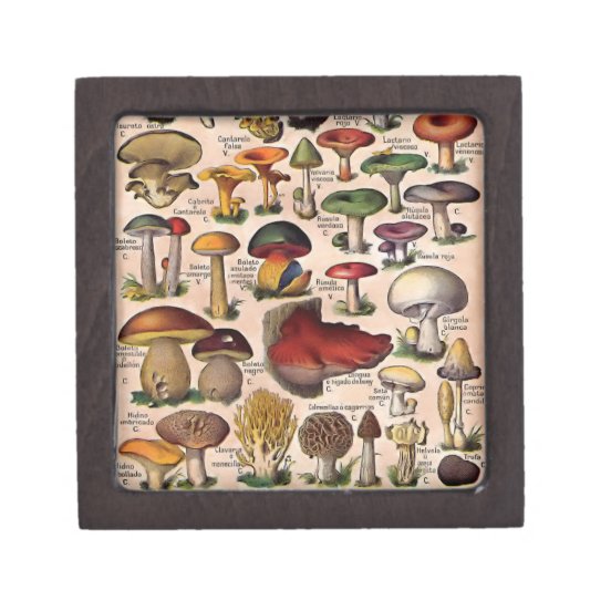 Vintage Mushroom Guide Gifts on Zazzle