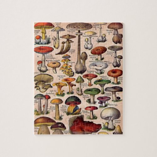Vintage Mushroom Guide Jigsaw Puzzle
