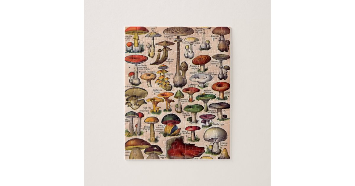 Vintage Mushroom Guide Jigsaw Puzzle | Zazzle