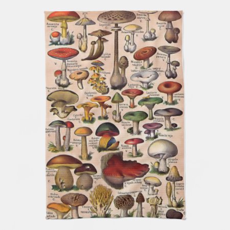 Vintage Mushroom Guide Kitchen Towel