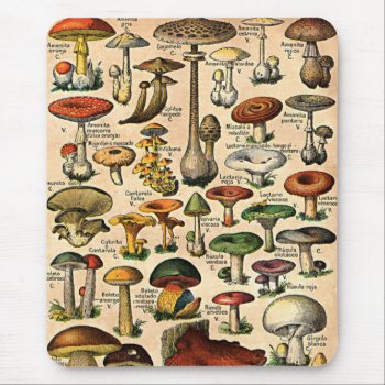 Vintage Mushroom Guide Mouse Pad by Vintage_Gifts at Zazzle