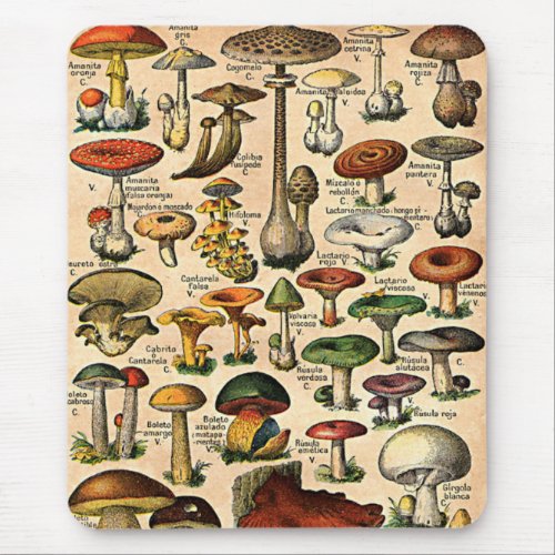 Vintage Mushroom Guide Mouse Pad