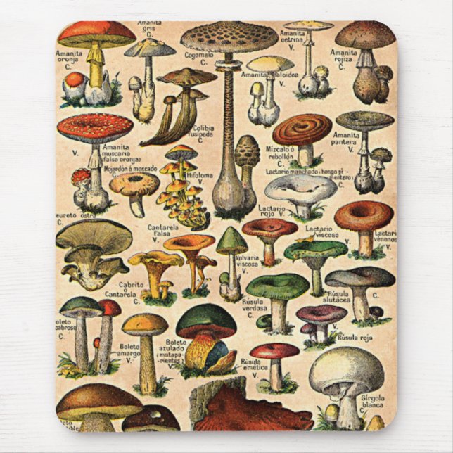 Vintage Mushroom Guide Mouse Pad (Front)