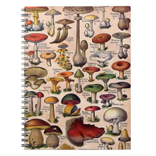 Vintage Mushroom Guide Notebook