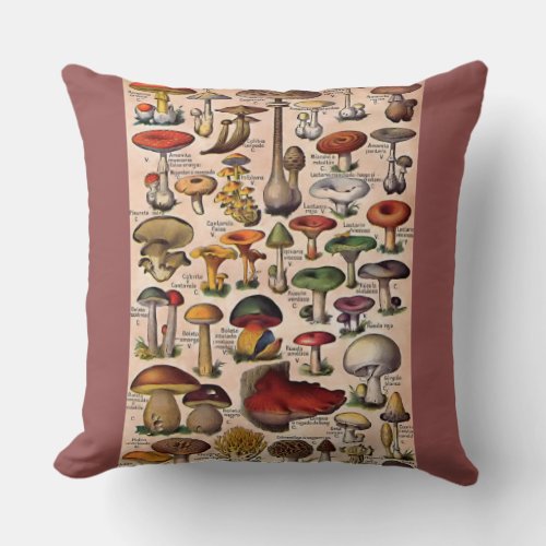 Vintage Mushroom Guide Pillow
