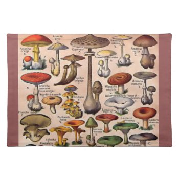 Vintage Mushroom Guide Placemat by Vintage_Gifts at Zazzle