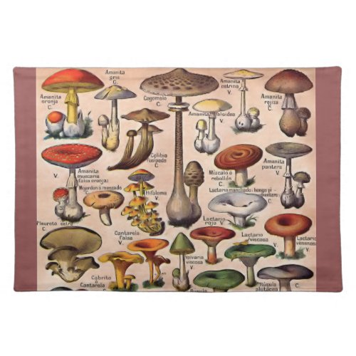 Vintage Mushroom Guide Placemat