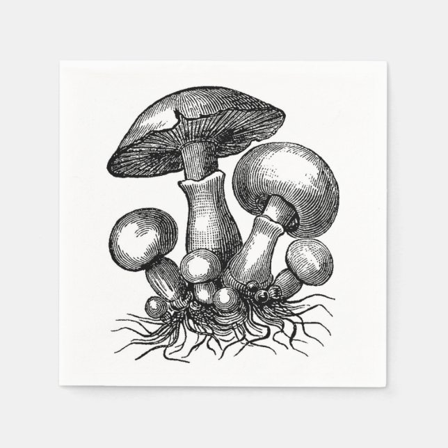 Vintage Mushroom Illustration Napkins (Front)