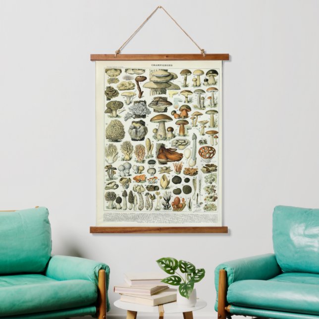 Vintage Mushroom Illustrations by Adolphe Millot Hanging Tapestry (Living Room)