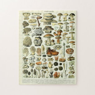 Vintage Mushroom Illustrations by Adolphe Millot Jigsaw Puzzle