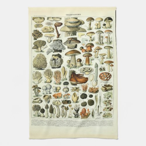 Vintage Mushroom Illustrations by Adolphe Millot Kitchen Towel