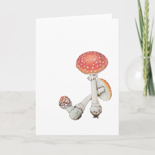 Vintage Mushroom Kitchen _ Science Botanicals Card