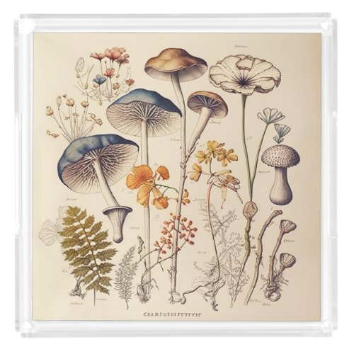 Vintage Mushroom Naturalist Acrylic Tray