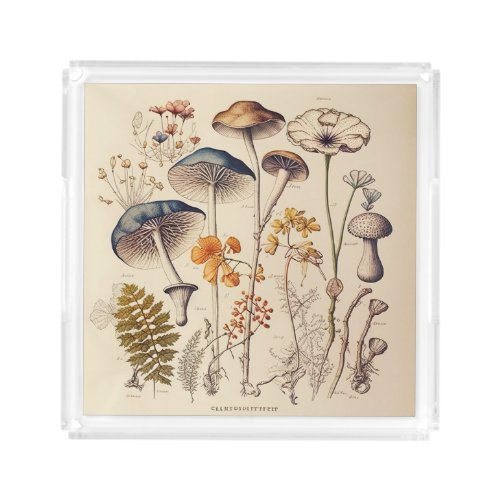 Vintage Mushroom Naturalist Acrylic Tray