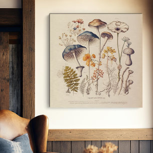 Vintage Mushroom Naturalist Canvas Print
