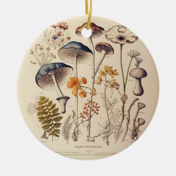 Vintage Mushroom Naturalist Ceramic Ornament by freshpaperie at Zazzle