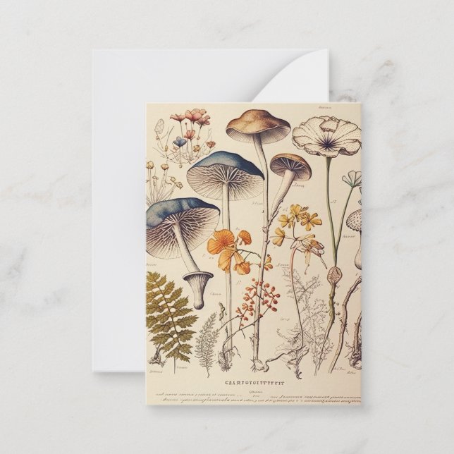 Vintage Mushroom Naturalist Note Card (Front)