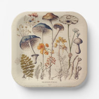 Vintage Mushroom Naturalist